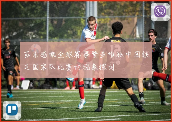 苏东感慨全球赛事繁多唯独中国缺乏国家队比赛的现象探讨