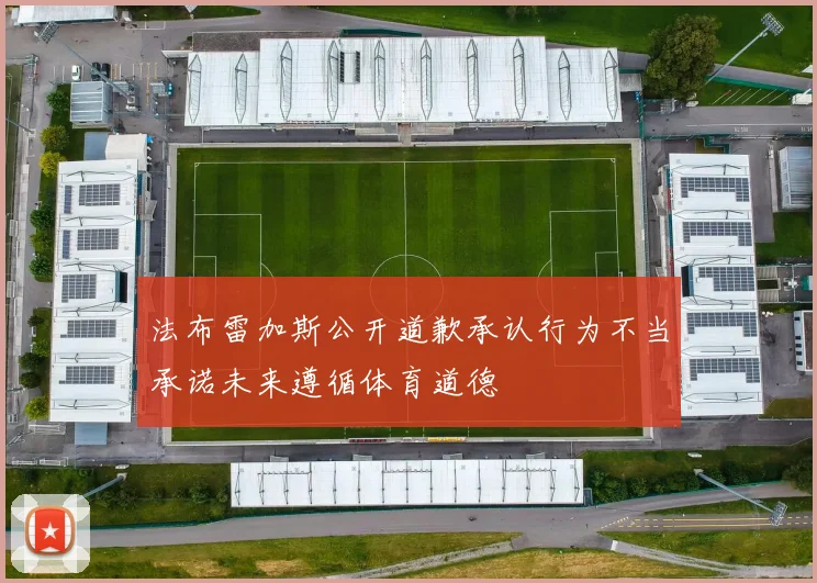 法布雷加斯公开道歉承认行为不当承诺未来遵循体育道德