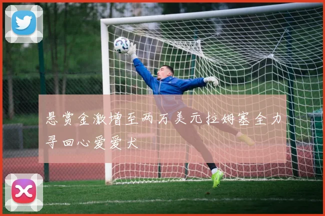 悬赏金激增至两万美元拉姆塞全力寻回心爱爱犬